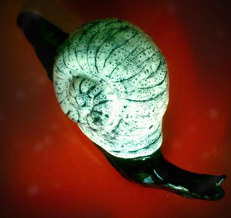 Mon escargot en terre émaillée noir et&nbsp;blanc