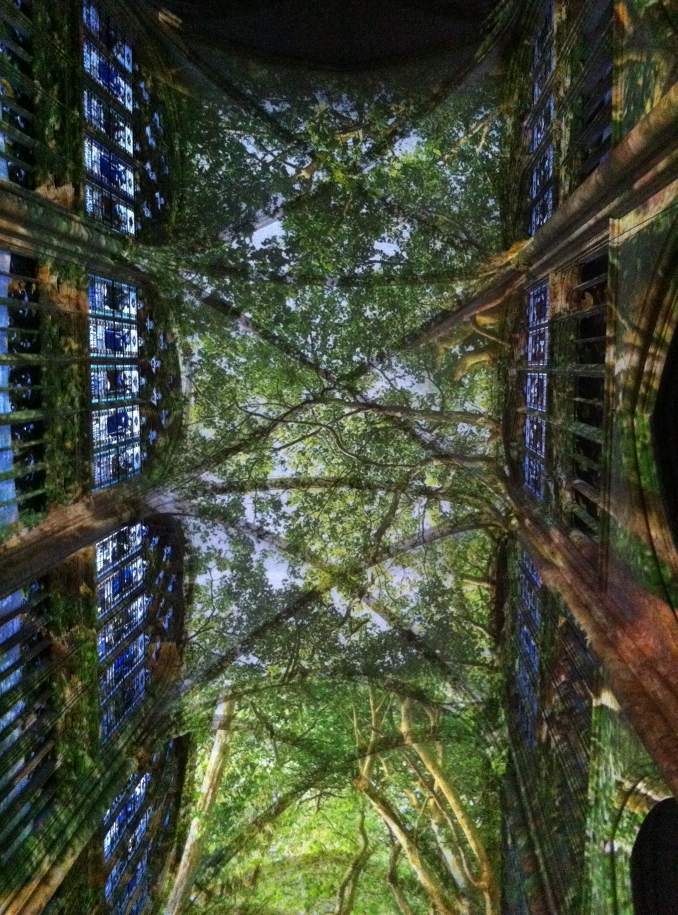 Deux artistes transforment une église en forêt vierge