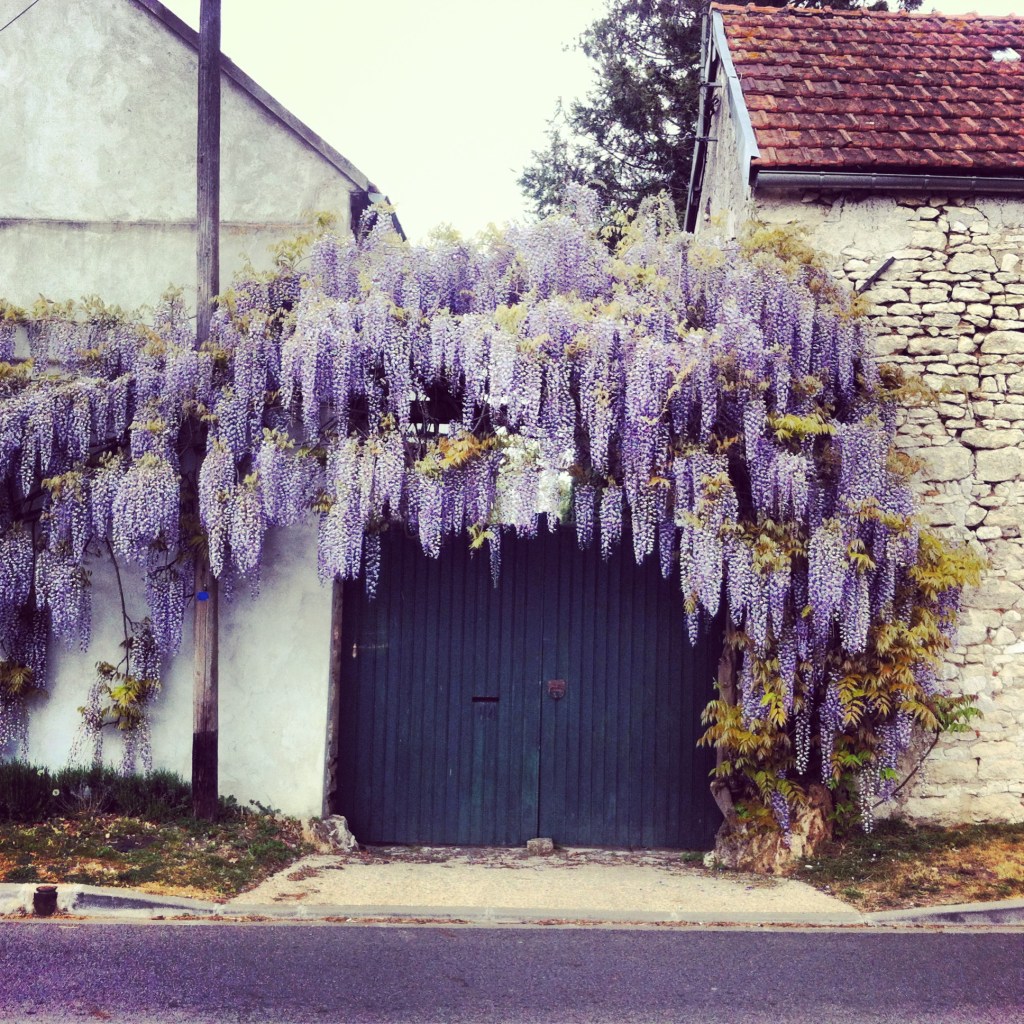 La campagne, ça me gagne&nbsp;!