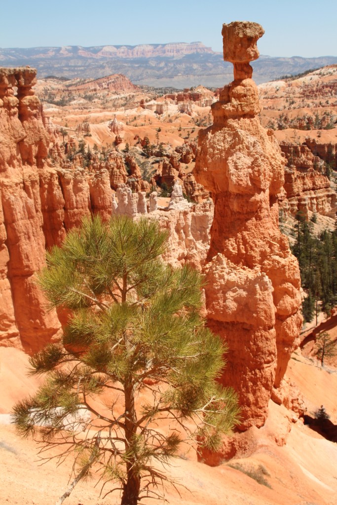 Californie_2013 (587)