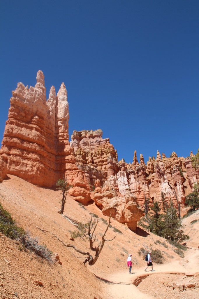 Californie_2013 (610)