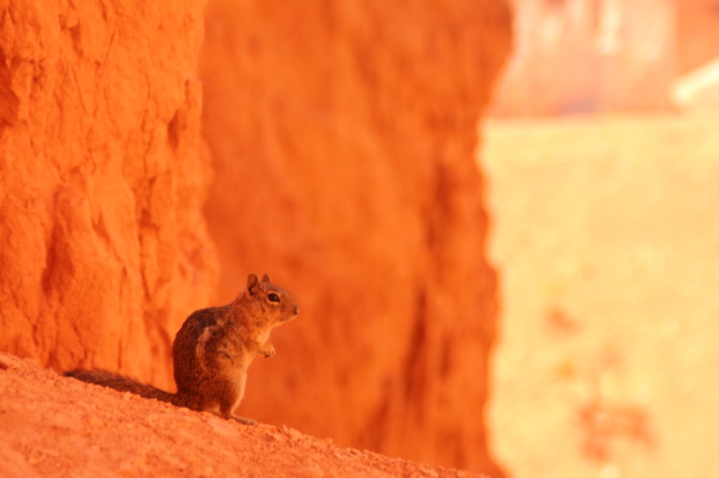 Californie_2013 (624)