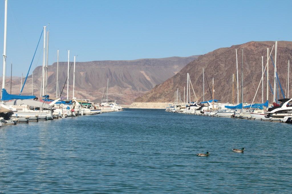 Californie_2013 (776)