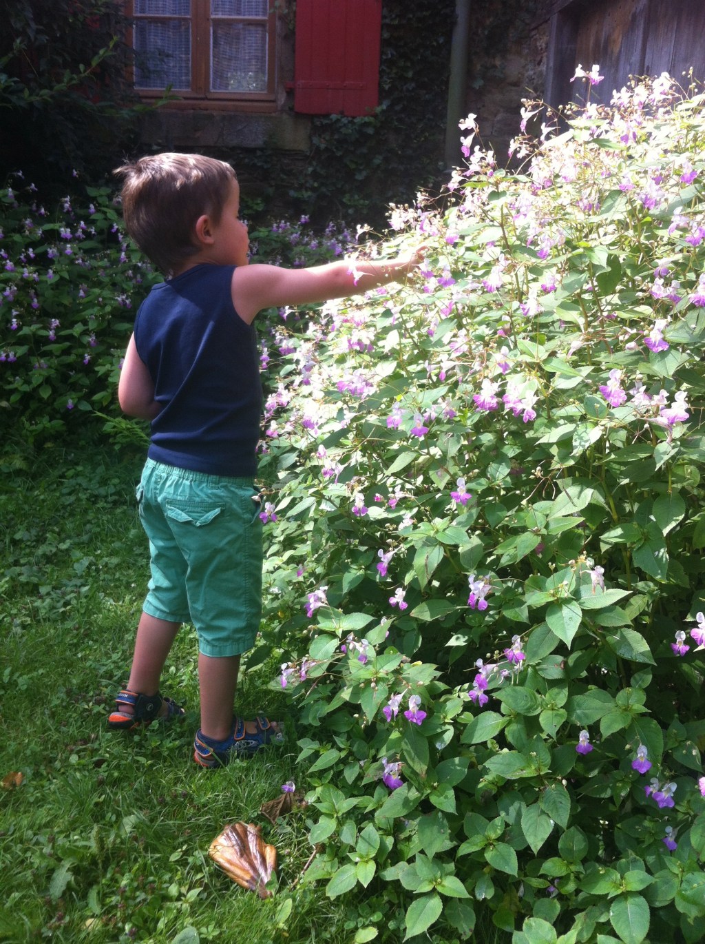 La fête de Falguières, 9.9 sur l&rsquo;échelle de riche&nbsp;terre