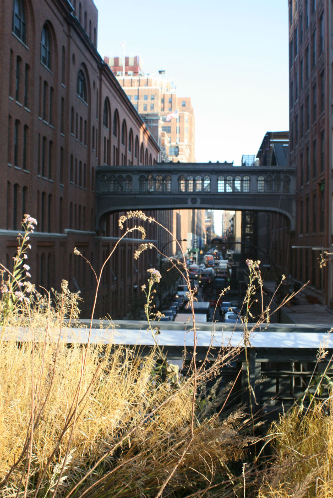 highline-nyc8
