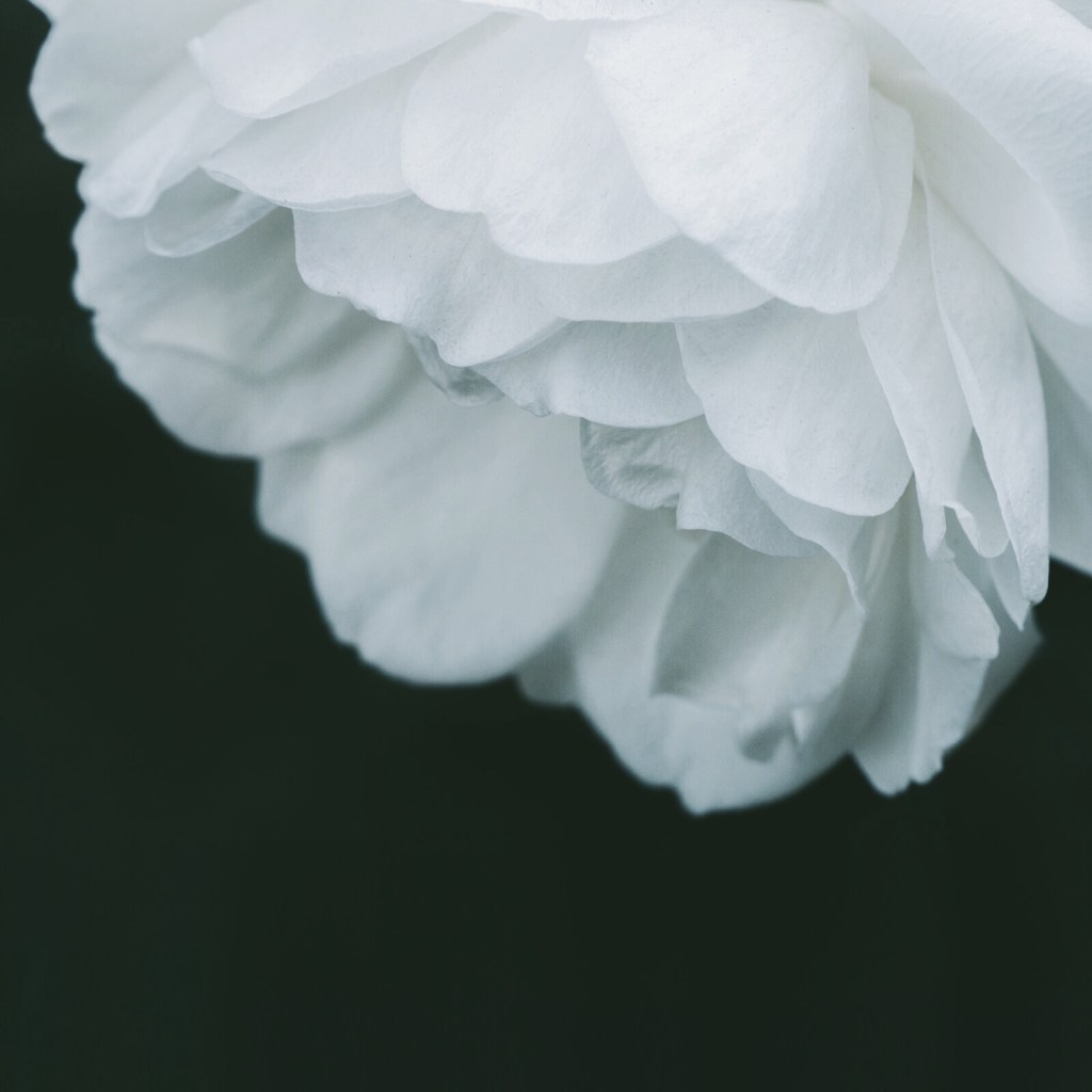 Processed with VSCOcam with se1 preset