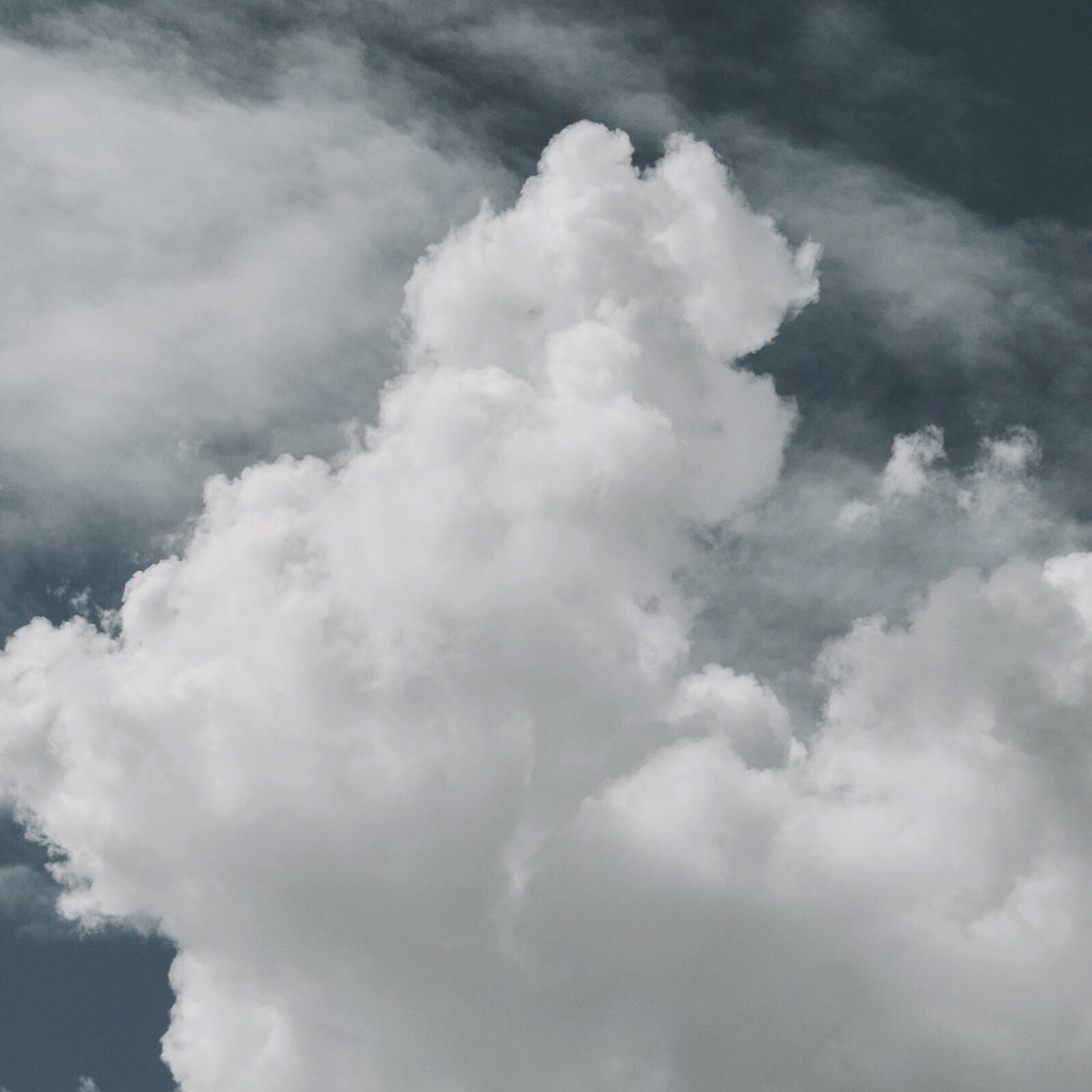 Processed with VSCOcam with se1 preset