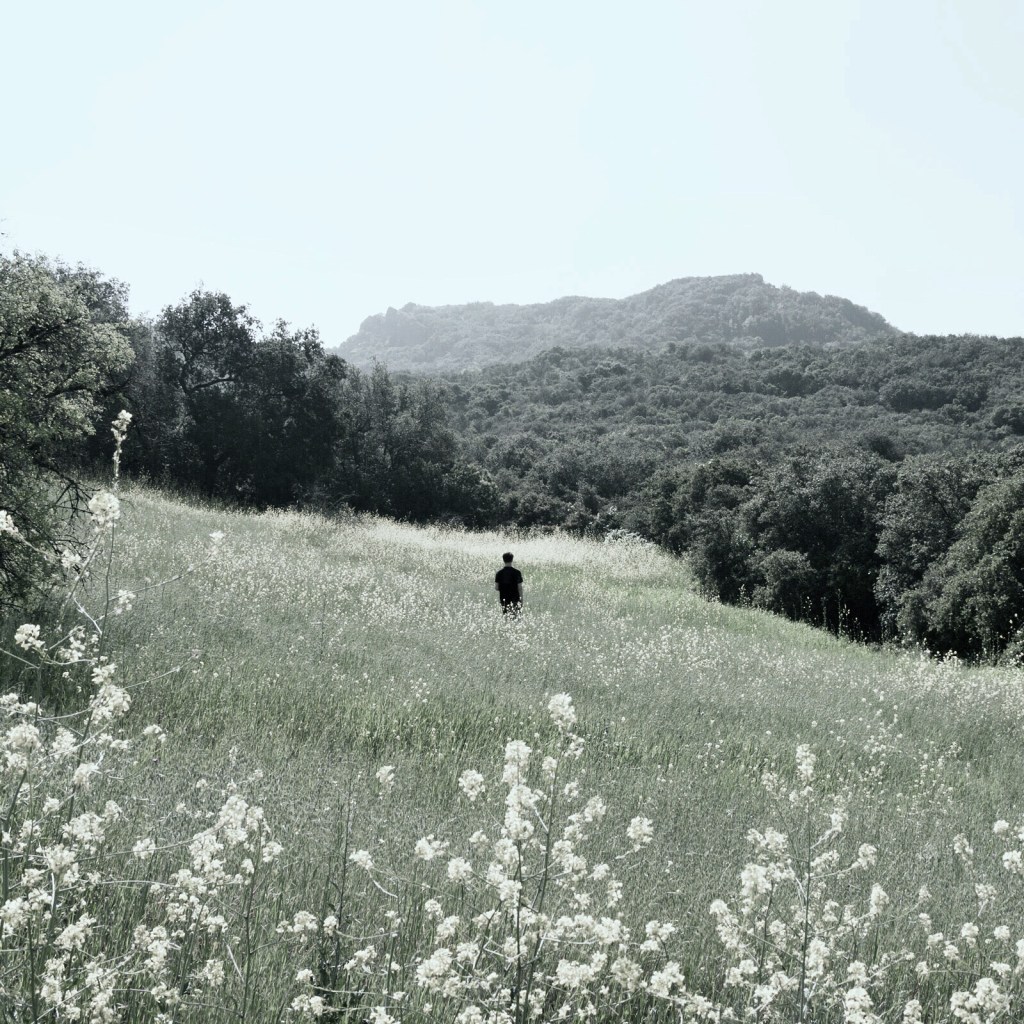 thismintymoment_image6