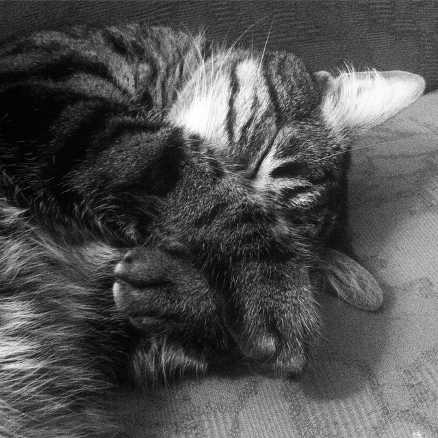 Attentats à Paris : la peur de ma&nbsp;vie