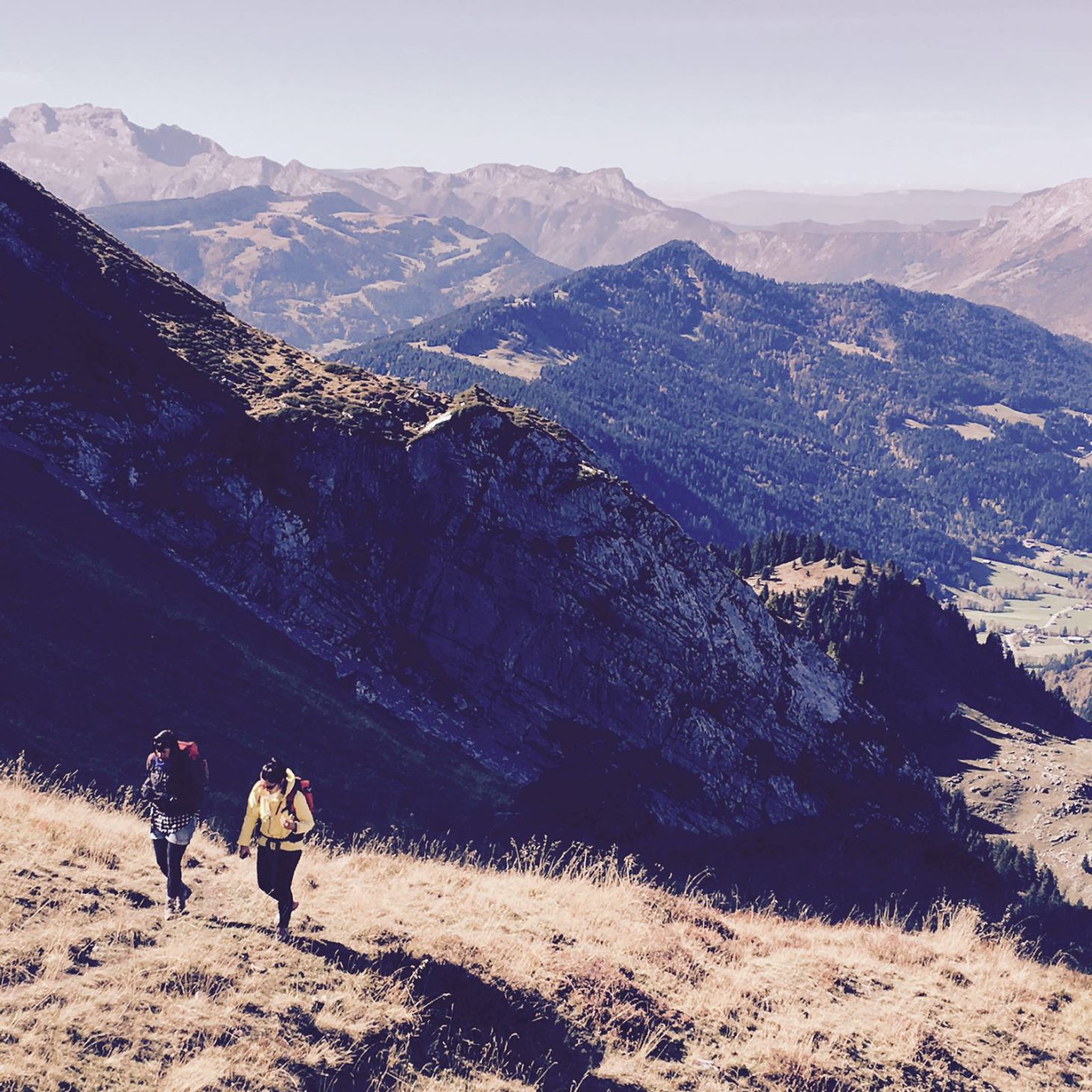 2017-10-08-photo-00000164