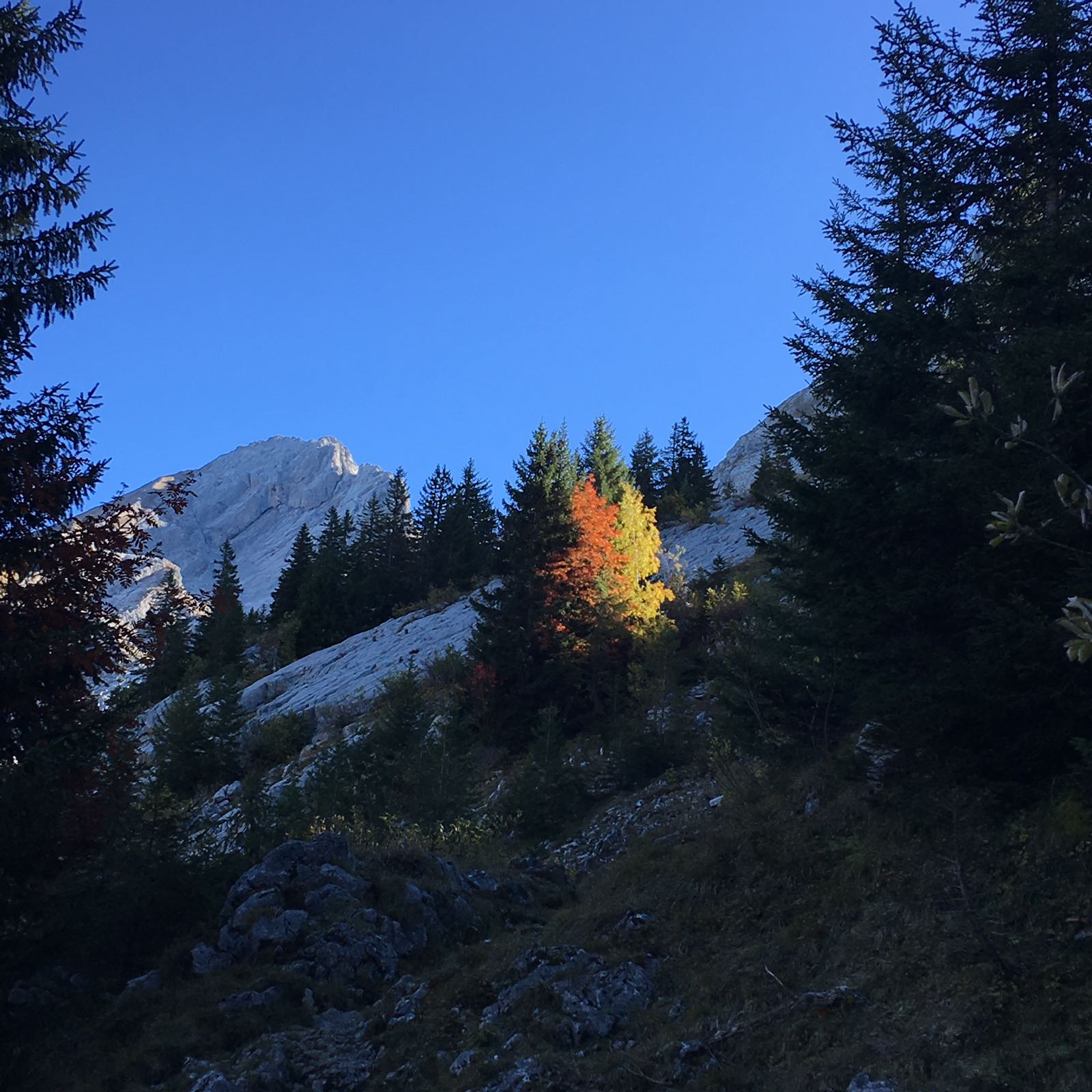 2017-10-08-PHOTO-00000177