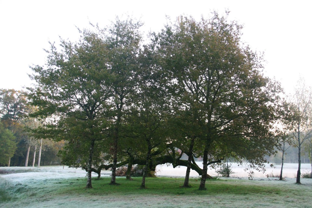 Favelle, ou se remettre de quitter un lieu&nbsp;adoré
