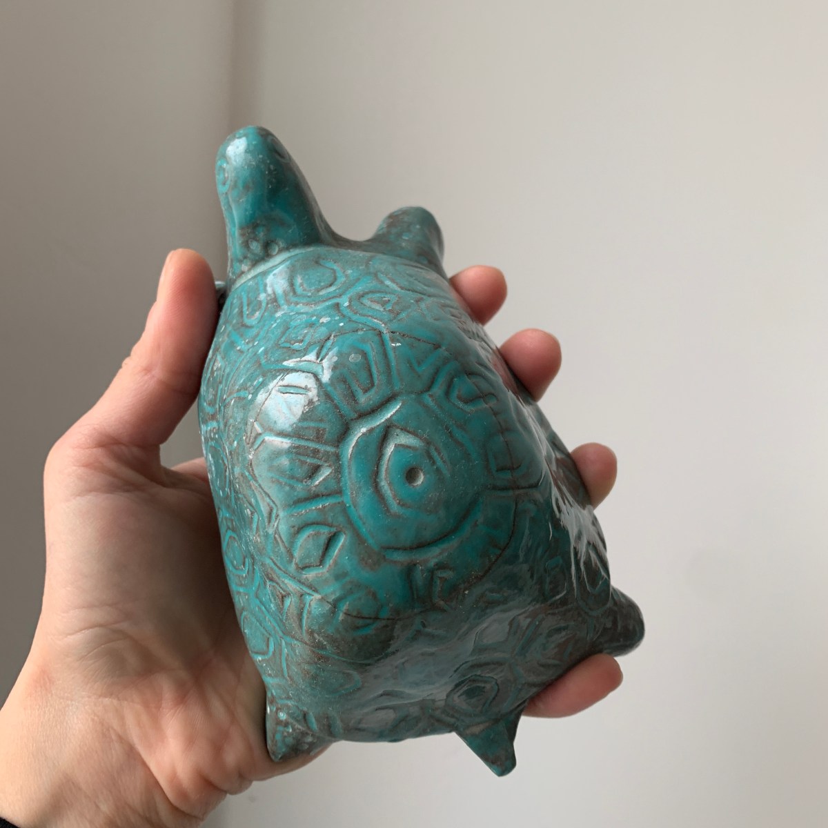Carapace